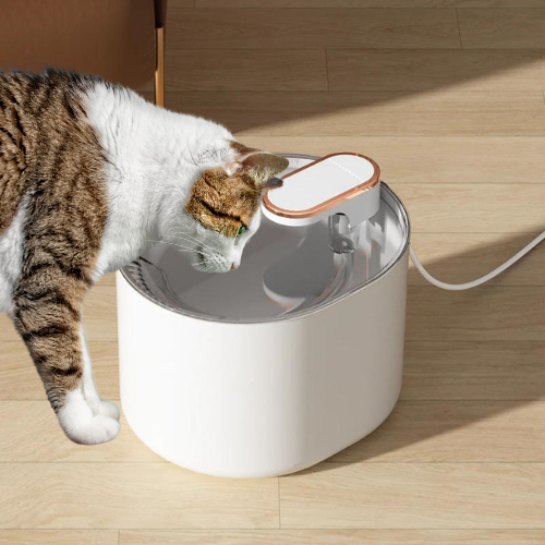 fontaine-à-eau-pour-chat-watercat-blanche