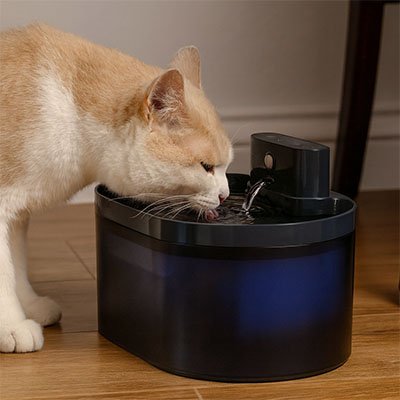 FONTAINE CHAT SANS FIL | RECHARGEABLE 2L - Leschamour