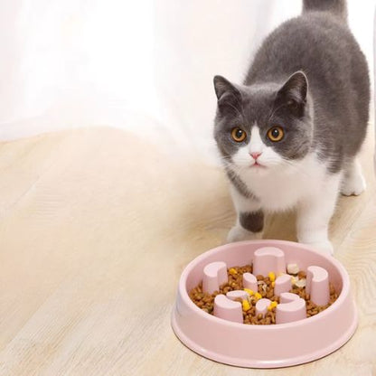 GAMELLE ANTI - GLOUTON CHAT | PUZZLE EN PLASTIQUE - Leschamour