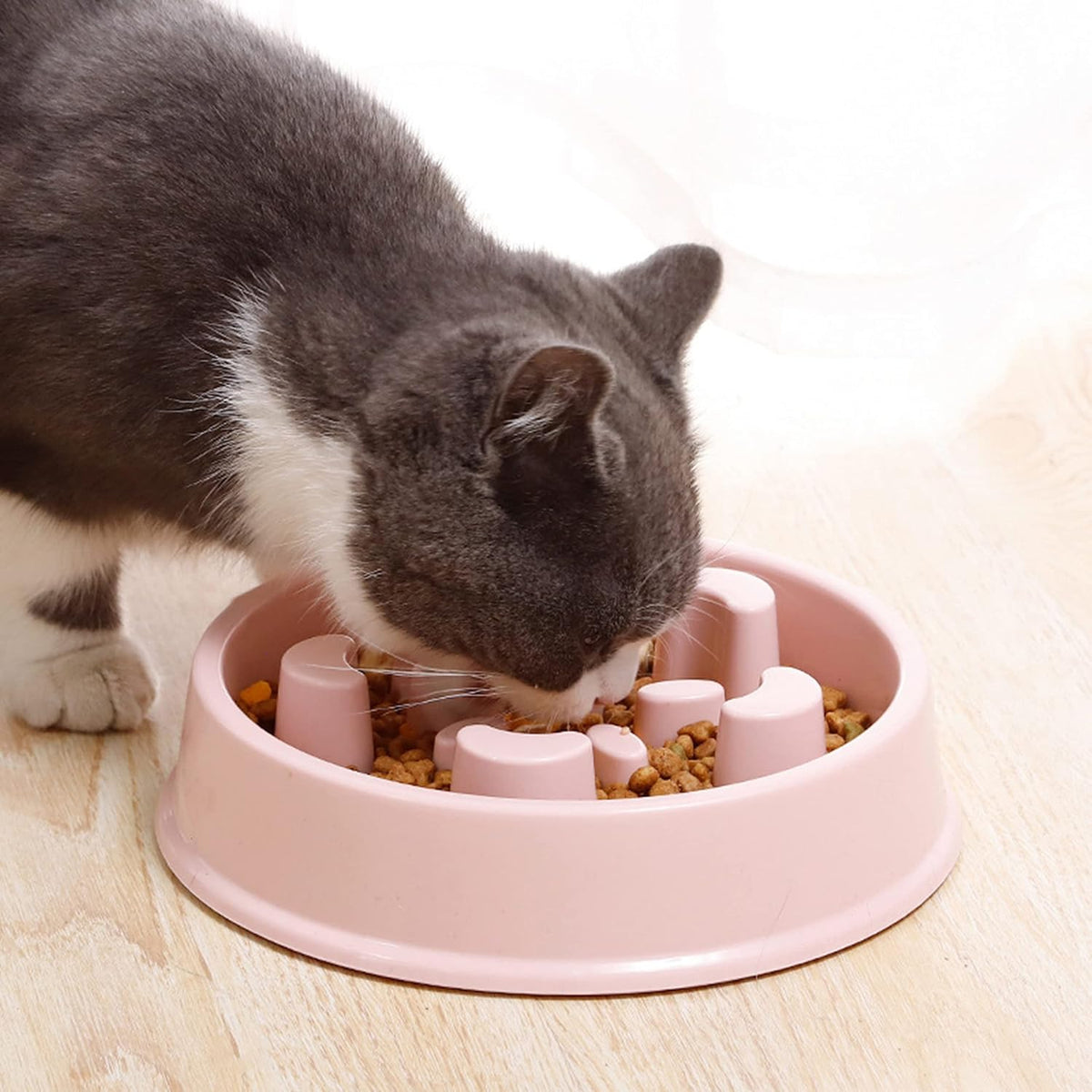 GAMELLE ANTI - GLOUTON CHAT | PUZZLE EN PLASTIQUE - Leschamour
