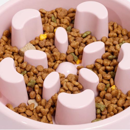 GAMELLE ANTI - GLOUTON CHAT | PUZZLE EN PLASTIQUE - Leschamour