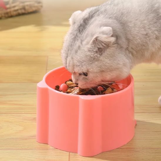 GAMELLE ANTI GLOUTON CHAT | RONDE - Leschamour