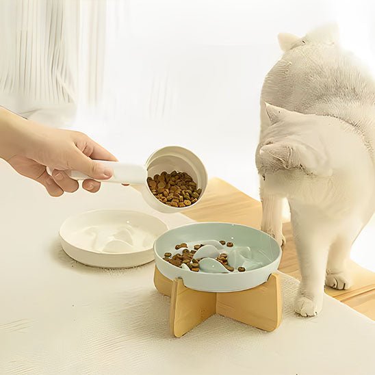 GAMELLE ANTI GLOUTON CHAT | SURÉLEVÉE - Leschamour