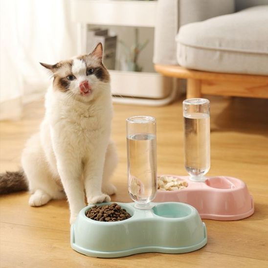 GAMELLE CHAT | NOURRITURE ET EAU - Leschamour