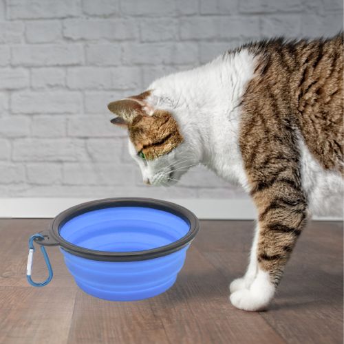 GAMELLE CHAT | PLIABLE ET PORTABLE POUR VOYAGE - Leschamour