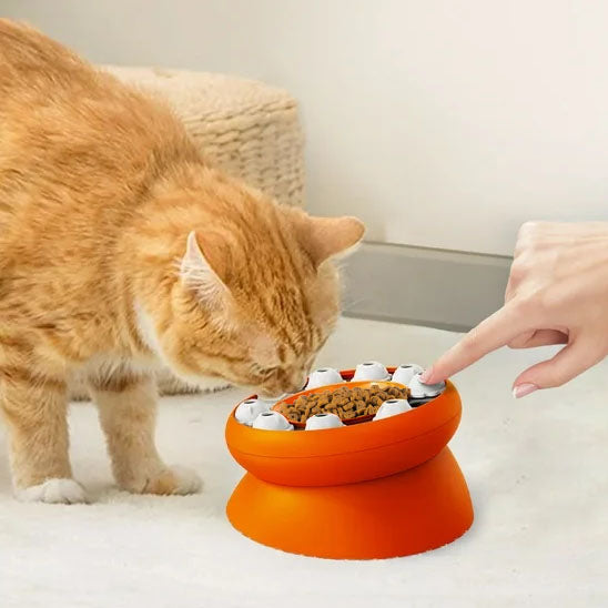 gamelle interactive chat orange
