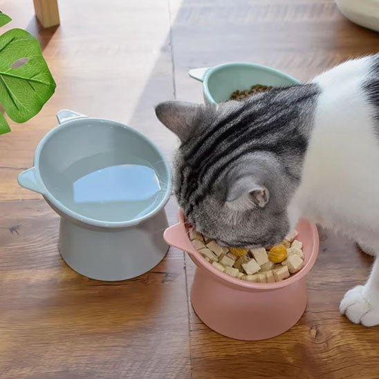 GAMELLE POUR CHAT | ANTI ÉTOUFFEMENT - Leschamour