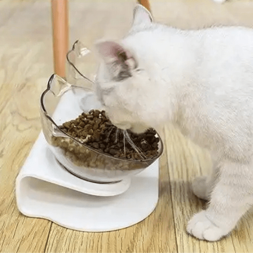 GAMELLES CHAT | TRANSPARENTES - Leschamour