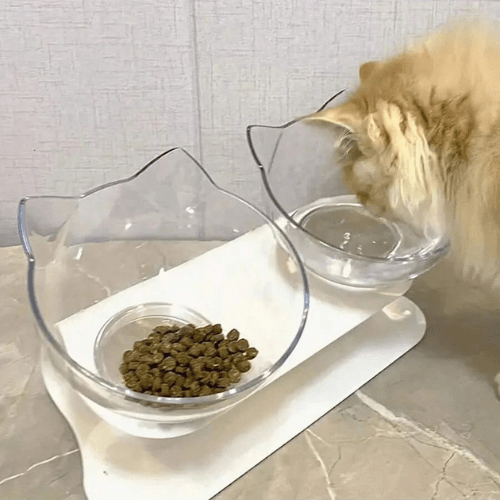 GAMELLES CHAT | TRANSPARENTES - Leschamour