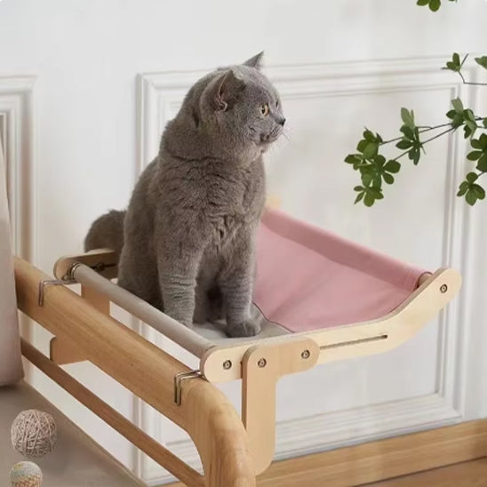 hamac-chat-doux