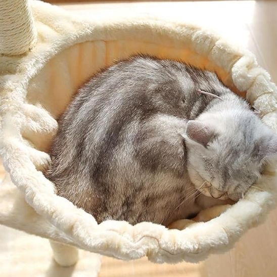 hamac-pour-arbre-a-chat-anti-stress