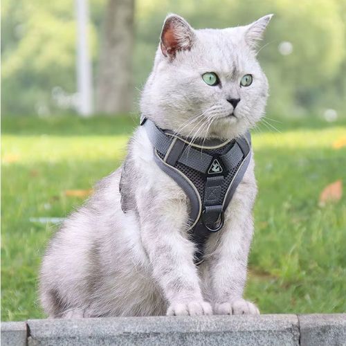 HARNAIS CHAT ANTI FUGUE | ANTI - TRACTION + LAISSE OFFERTE - Leschamour
