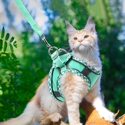 harnais-main-coon-reflechissant-respirant-vert