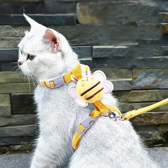 HARNAIS POUR CHAT | ABEILLE + LAISSE OFFERTE - Leschamour