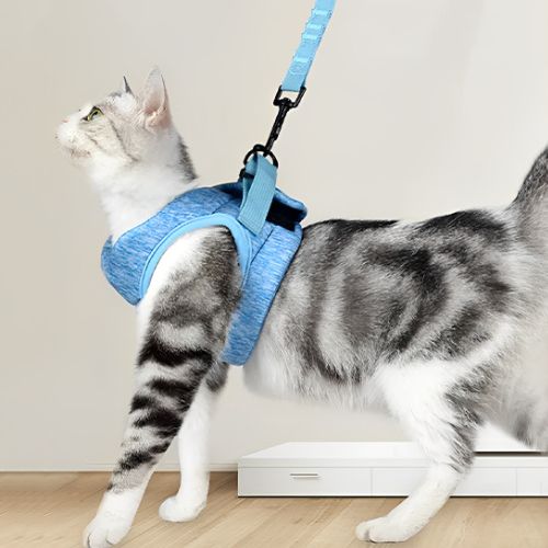 HARNAIS POUR CHAT | GILET + LAISSE OFFERTE - Leschamour