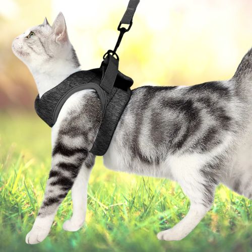 HARNAIS POUR CHAT | GILET + LAISSE OFFERTE - Leschamour