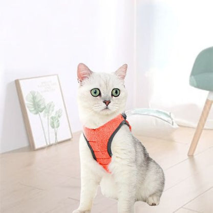 HARNAIS POUR CHATON | GILET + LAISSE OFFERTE - Leschamour
