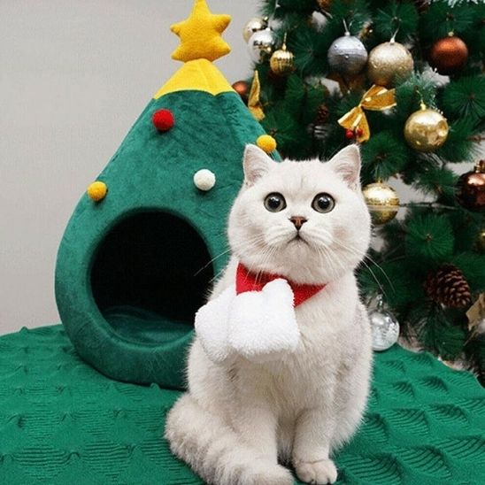 lit-pour-chat-fetes