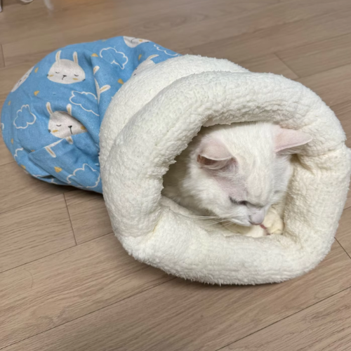 lit_pour_chat_bleu
