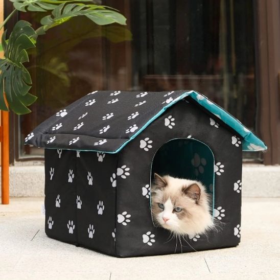 niche-chat-exterieur-pattes-de-chat
