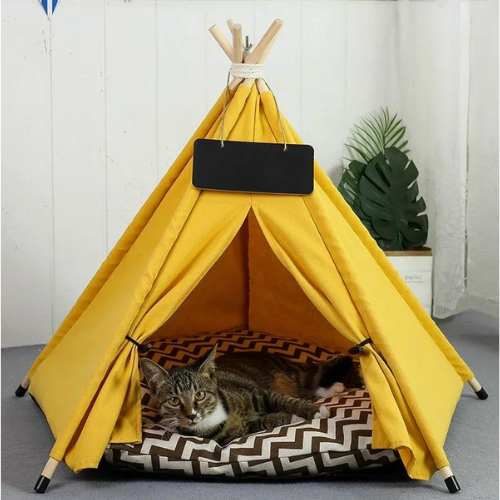 niche_pour_chat_jaune