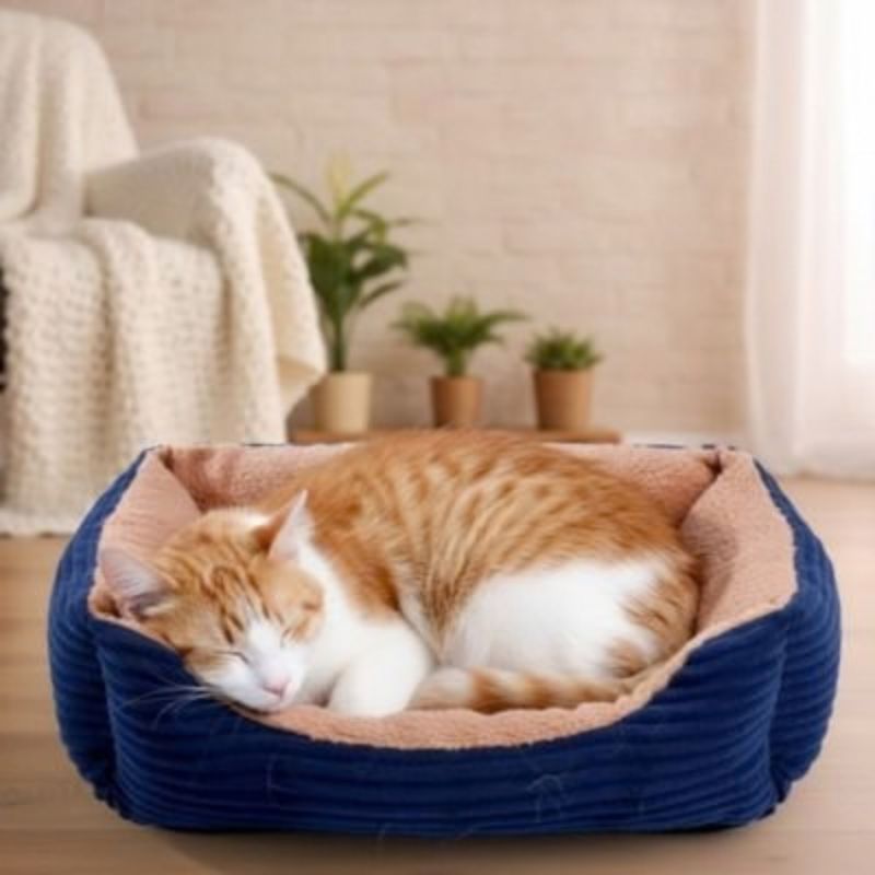 Panier chat bleu avec un chat roux et blanc endormi.