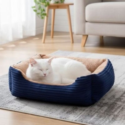 Panier chat bleu avec un chat blanc allongé.