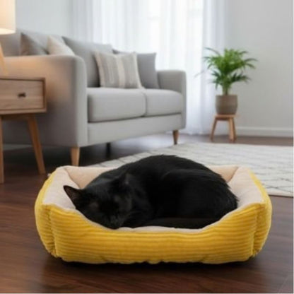 Panier chat jaune avec un chat noir endormi.