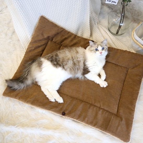 panier chat original cocon moelleux