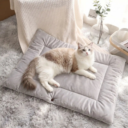 panier chat original moelleux