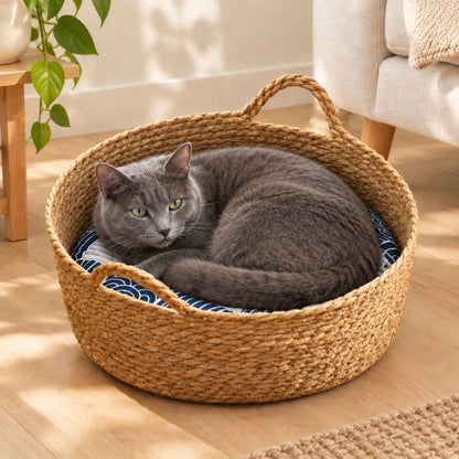 Chat gris roulé en boule dans un panier chat rotin avec coussin bleu et blanc