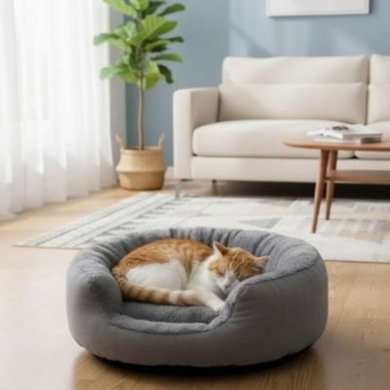 Panier original chat gris avec un chat roux et blanc endormi.