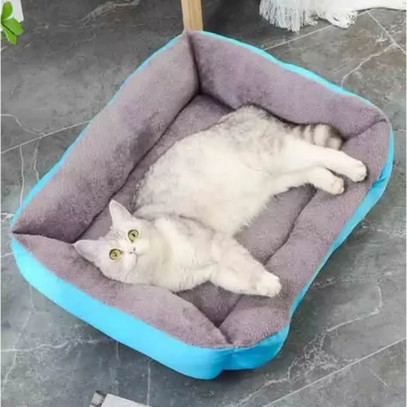Panier chat bleu avec un chat gris allongé sur le dos.