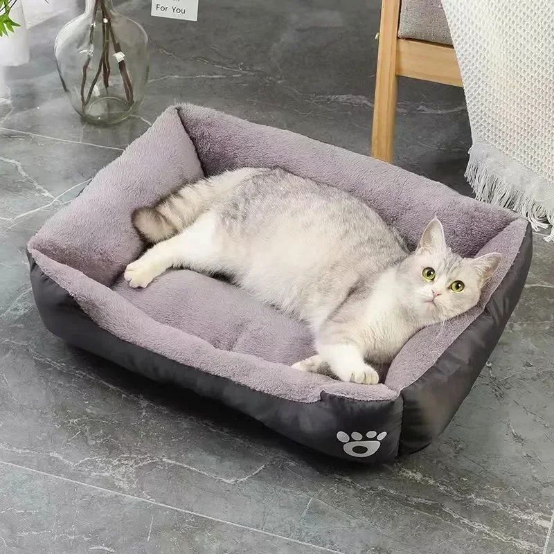 Panier chat noir avec un chat gris allongé.