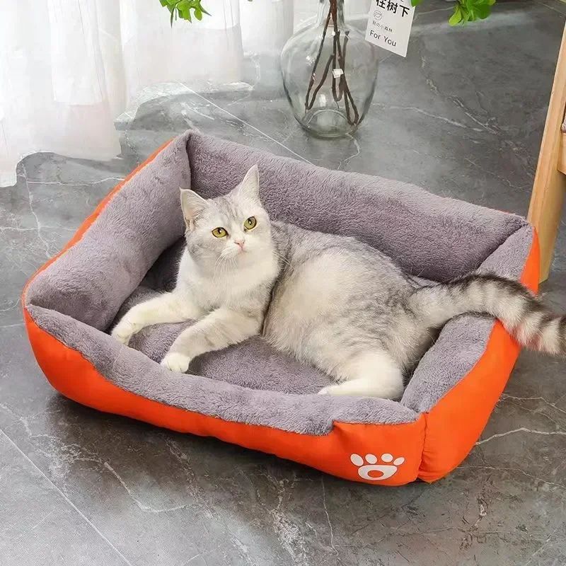 Panier chat orange avec un chat gris regardant l’objectif.