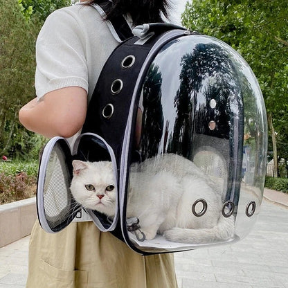 SAC A DOS CHAT | CAPSULE - Leschamour