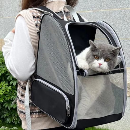 SAC À DOS CHAT | EN TOILE - Leschamour