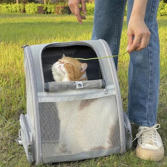 SAC À DOS CHAT | EN TOILE - Leschamour