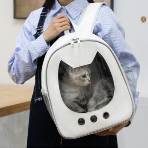 SAC A DOS CHAT | TETE DE CHAT - Leschamour