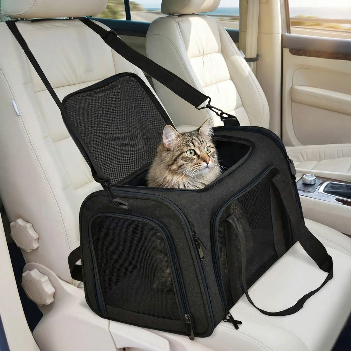sac de transport pour chat xxl voyage noir