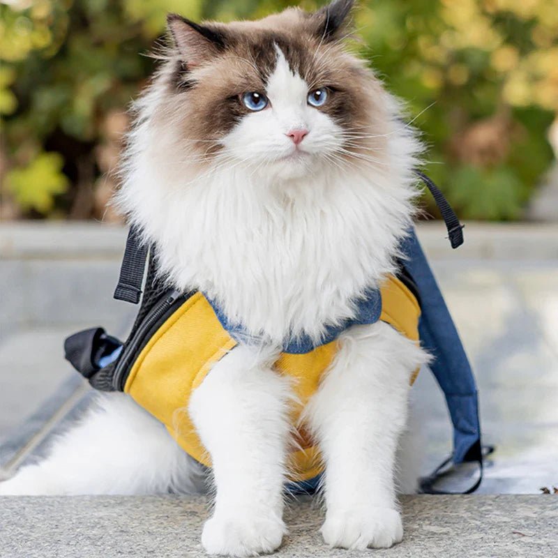 SAC POUR CHATON | EN TOILE DE COTON - Leschamour
