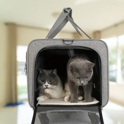 sac transport chat xxl avec roulettes 2 chats