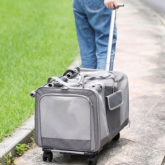 sac transport chat xxl avec roulettes gris