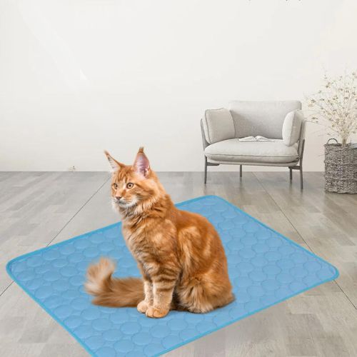 tapis-rafraichissant-chat-bleu