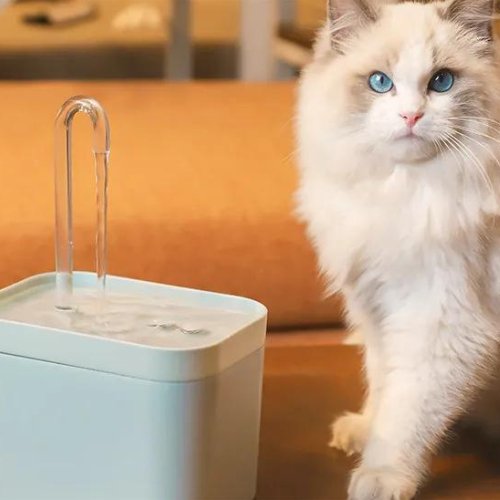 fontaine-a-eau-chat-fontainecat-
