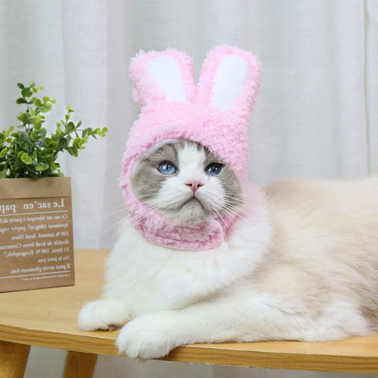 RabbitHat™ - Accessoire de déguisement pour chat - Leschamou